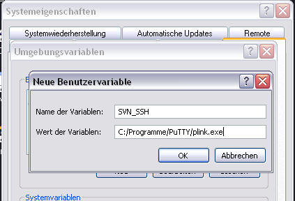 SVN_SSH=C:/Programme/PuTTY/plink.exe